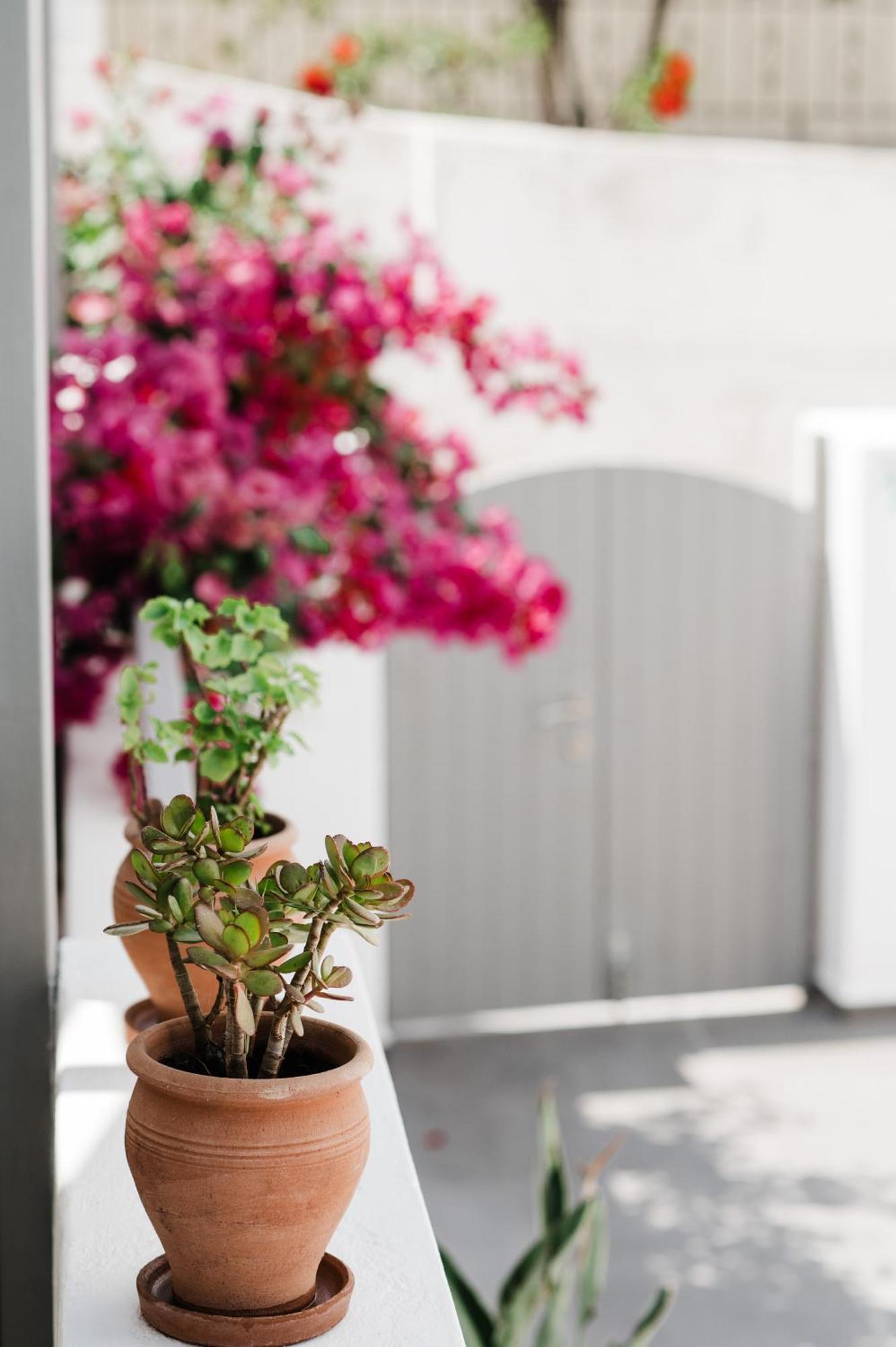 Amphitrite Suites Santorini Vóthon エクステリア 写真